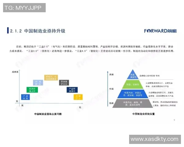 南京滑板队的管理模式与发展现状深度解析