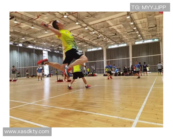 深圳羽毛球队运动员个人能力分析与表现评估研究 深圳羽毛球队运动员个人能力分析与表现评估研究